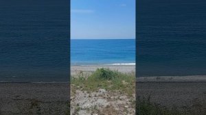 Черное море_Головинка_Лазаревское_2026
