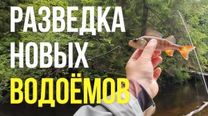 #мормышинг | Разведка новых речек и не только  |