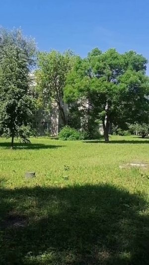 Парк Прогулка Царское село +25