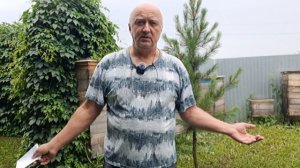 Жили ли пчёлы в Сибири до прихода туда русских переселенцев?