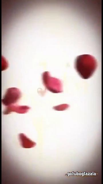 Я тебе желаю