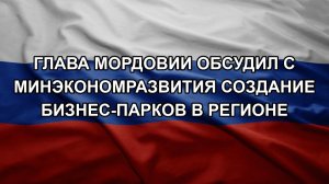 Глава Мордовии обсудил с Минэкономразвития создание бизнес-парков в регионе