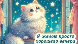 Вечернее видео