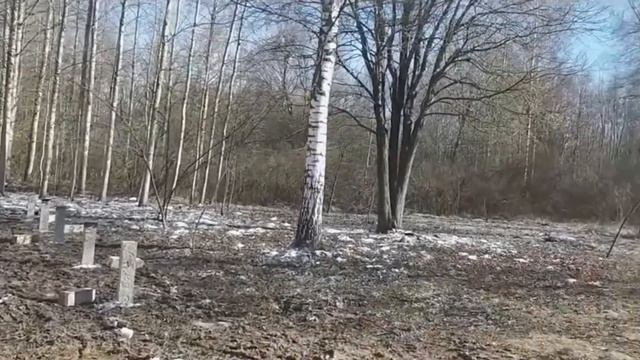 Site Walkthrough: The Dream Begins | The 4K Cabin Build (Part 01) смотреть онлайн
