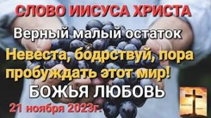 «Верный остаток», «Невеста, бодрствуй, пора пробуждать этот мир» — слово Иисуса Христа 21.11.23