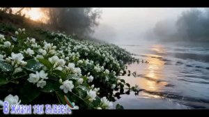 В жизни так бывает.