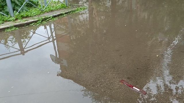 VID_20260620_154504054