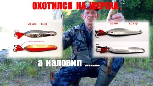 Щука на самодельные жереховые блесны.