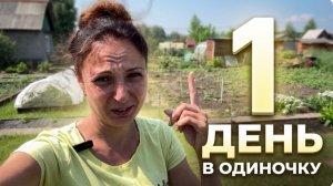 ОДНА НА ДАЧЕ/ЗАРОСШИЙ ОГОРОД/ПРОПОЛОЛА ОГОРОД ЗА ОДИН ДЕНЬ