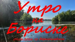Утро на Бориске. 09.06.2026. Оз. Борисоглебское. Рыбалка в Московской области.