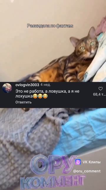 20-06-2026 смотреть онлайн
