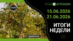 Итоги недели с ГлавАгроном 15.06.2026 – 21.06.2026