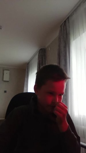 ливе