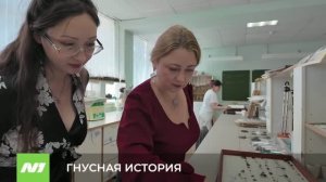Как защититься от комаров и мошек? Рассказывает эксперт НВГУ