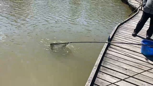 Карпуша смотреть онлайн