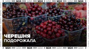 Черешня подорожала в Москве на 10% - Москва 24