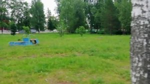 Проходя большую зелень