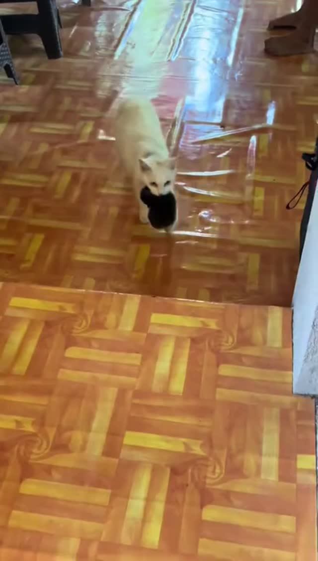 Что за делёжка ?Разводятся что ли?)