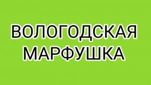 Культура и воспитание ВОЛОГЖАНКИ