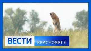 Вести. Красноярск от 16.06.2026
