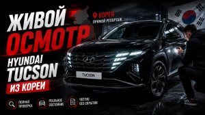 Hyundai Tucson из Кореи  честный полный осмотр  | Стоит ли брать? Кузов, салон, мотор