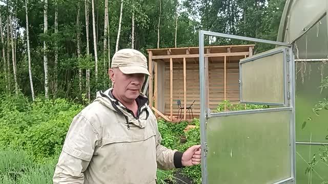 Помидоры уже Висят 🍅 Муж ими занимается.