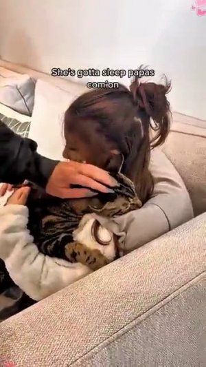 Котики 😂обормотики