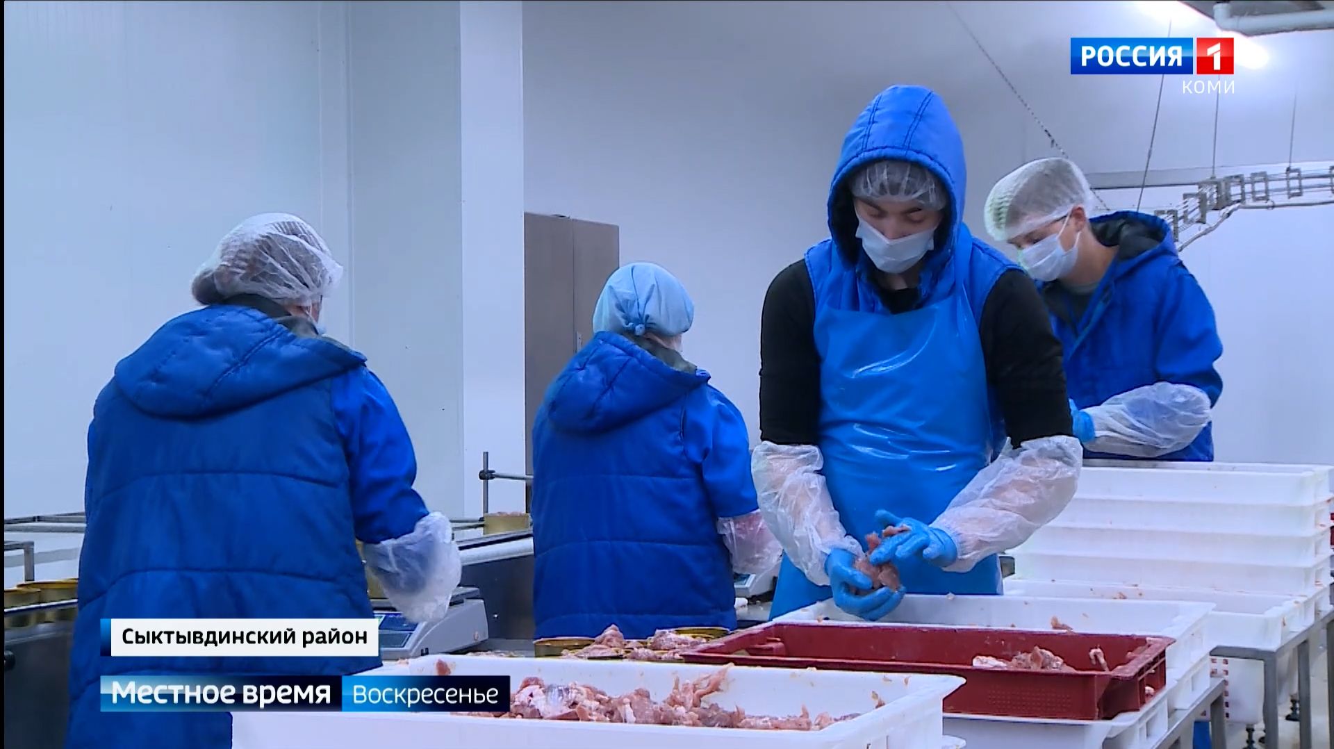 Выездной день депутатов Государственного Совета Коми на птицефабрику «Зеленецкая» смотреть онлайн