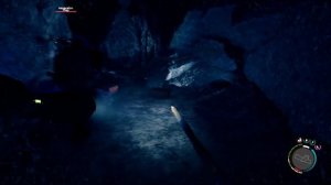 Sons Of The Forest COOP Full Game PC 2026