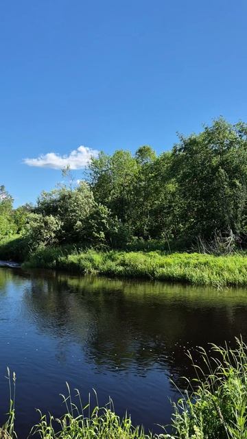 Живописная река Меглинка, д.Охона. Пестово, Новгородская область