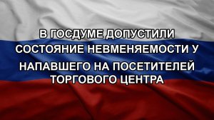 В Госдуме допустили состояние невменяемости у напавшего на посетителей торгового центра