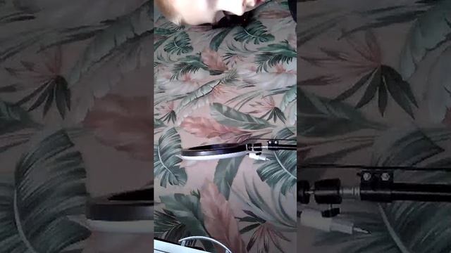 стрим с Норманом смотреть онлайн