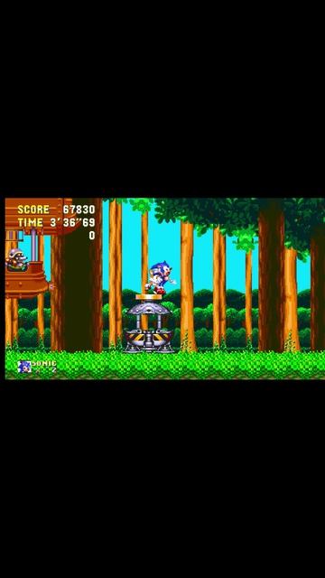 Эпичная поза #sonic3 #sonic