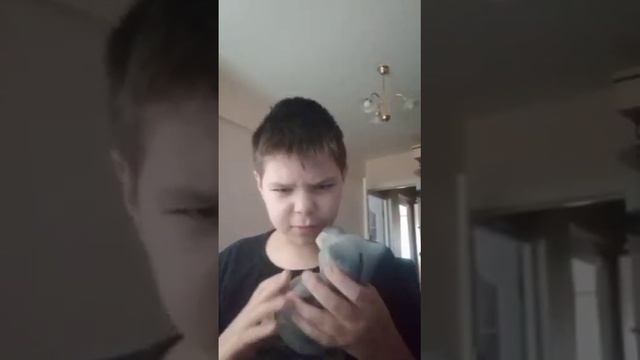 Три почему