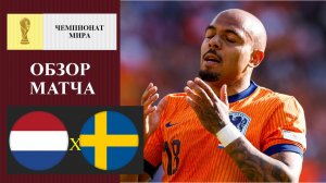 Нидерланды - Швеция обзор матча