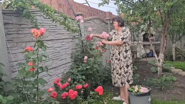 Сытники- Долли понравился танец Лорика!