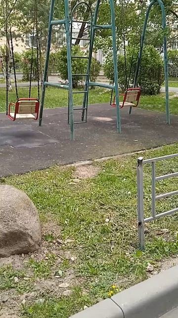 В ветренную погоду гуляют только таксы, у них низкий клиренс
