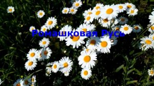 Ромашковая Русь