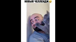 #смешныевидео -1524