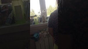 снимаем мой первый тренд