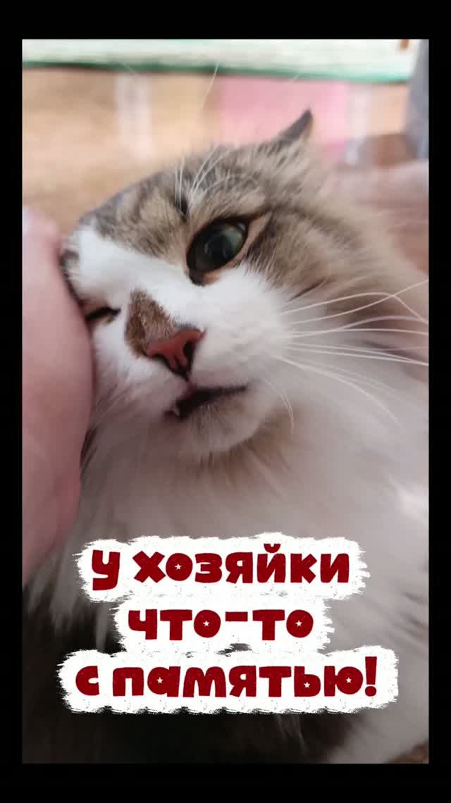 Смешная озвучка 🤣