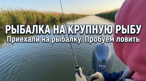 Рыбалка на крупную рыбу. Приехали в Волгоградскую область для рыбалки. Пробуем ловить