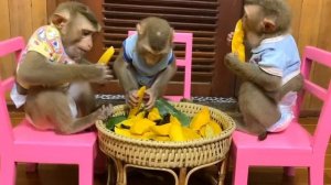 Обезьянки фрукты едят и МАЛЫШКИ ВЕСЕЛЯТ