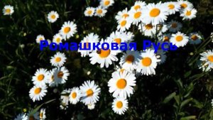 Моя ромашковая Русь. Монтаж - Александр Коробковъ
