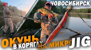 На этом ОЗЕРЕ окунь заполонил ВСЁ / Рыбалка на МИКРОДЖИГ в НОВОСИБИРСКЕ.
