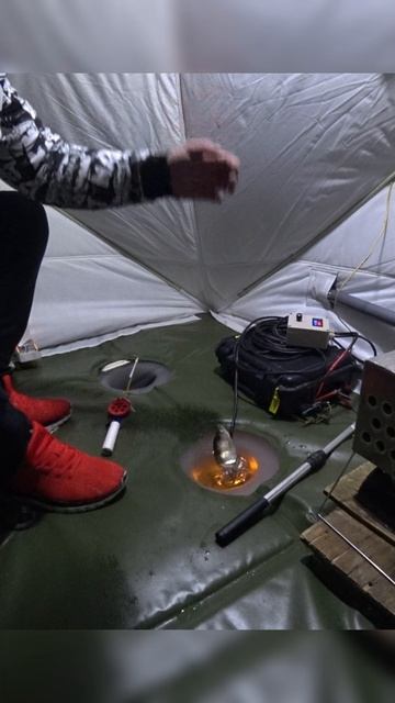 #shorts #рыбалка #fishing #рыба #fish #эдвардкосичка #природа #nature #отдых #путешествия #rest