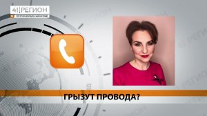 НОВОСТИ: «ГРЫЗУТ ПРОВОДА?»