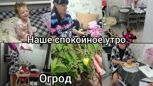 Наше спокойное утро. Домашний влог.