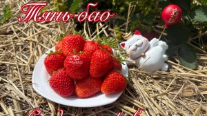😋Тянь Бао, (Тиан Бао), Сладкое сокровище 🍯