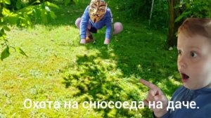 охота на снюсоеда на даче.